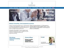 Callesen Consulting