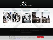 P H Consulting Peter Bang Hjorth